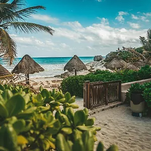 La Conchita (adults Only) 4*, Tulum Messico