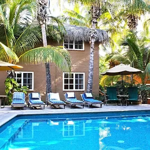 The 4*, Cabo San Lucas Mexiko